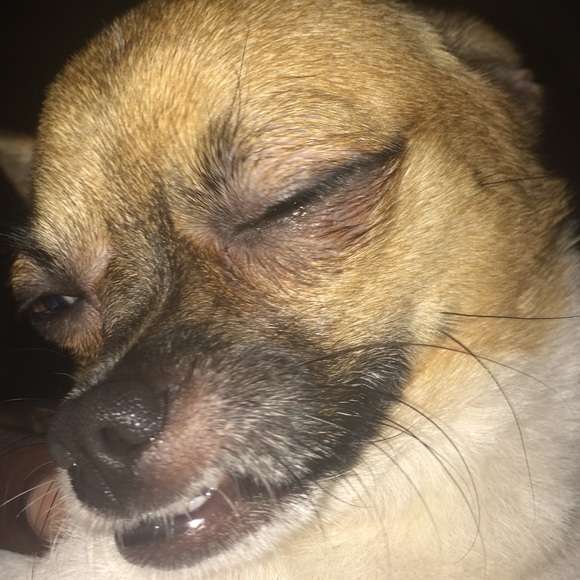 Meet your Posher, Vintage! - Picture 6 of 8